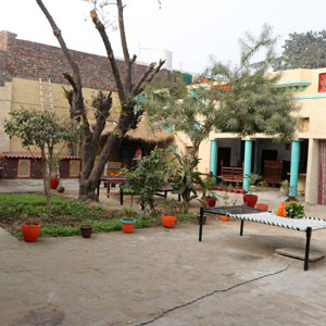 portfolio image